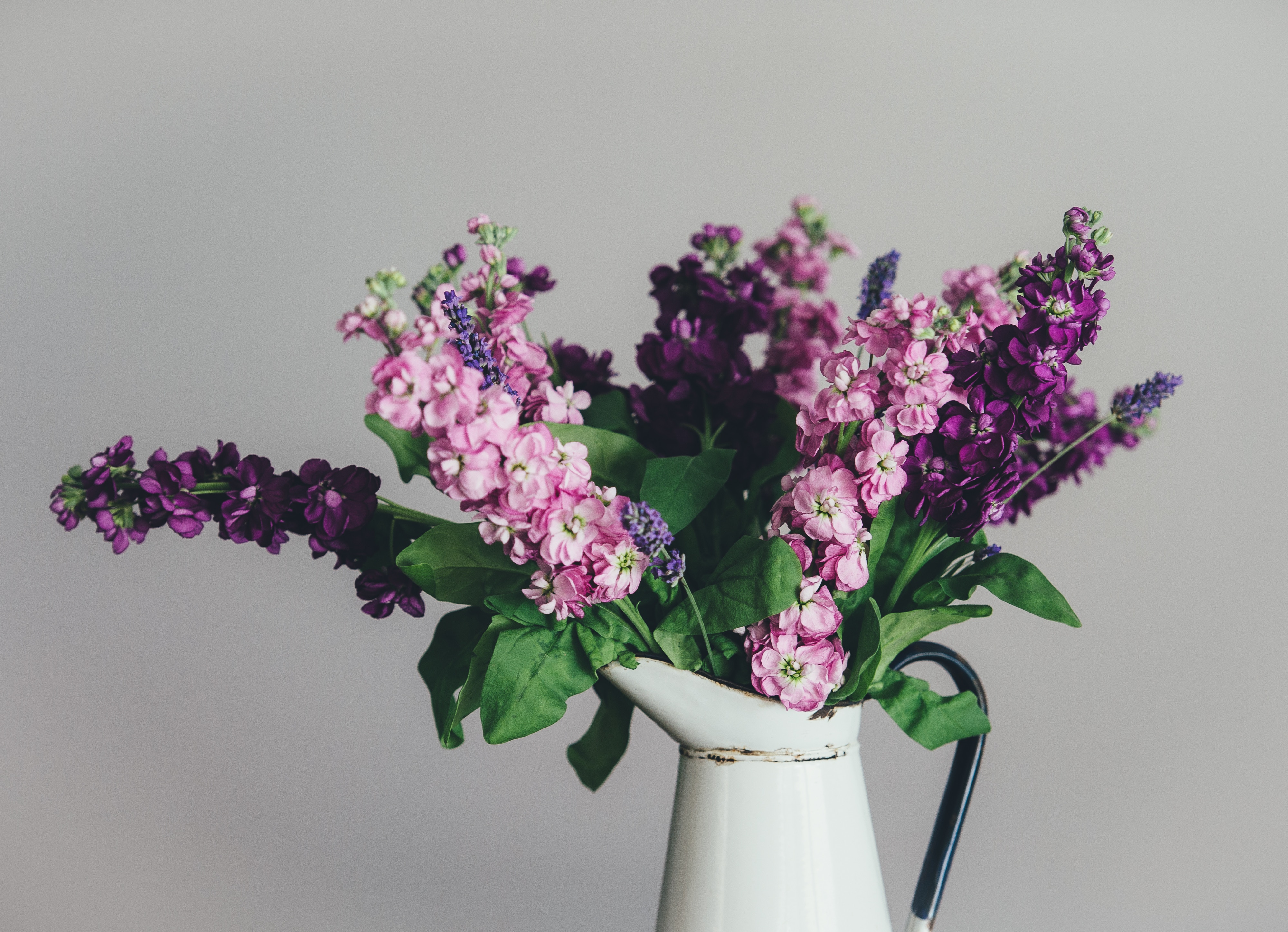 annie-spratt-111053-unsplash